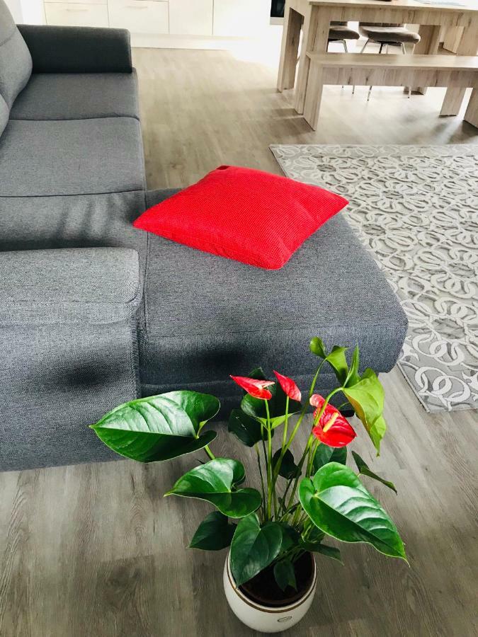 Apartment Lux *